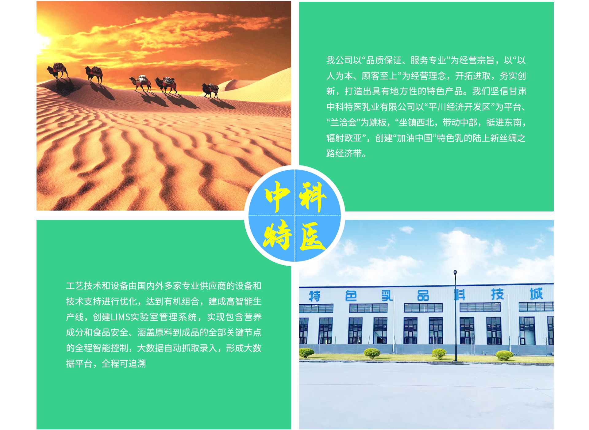 about-我们的实力